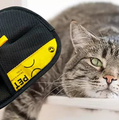 Free Pet Grooming Gloves gift