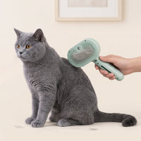 A grey British Shorthair cat being groomed on the back with the Meoggy Mist Comb