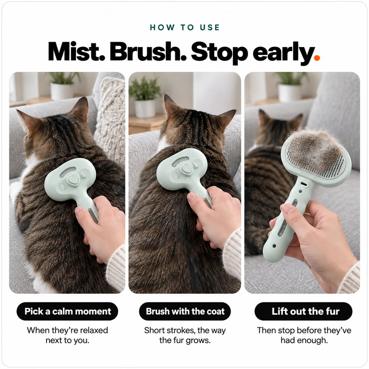 How to use the Mist Comb on a cat: pick a calm moment, brush with the coat, lift out the fur