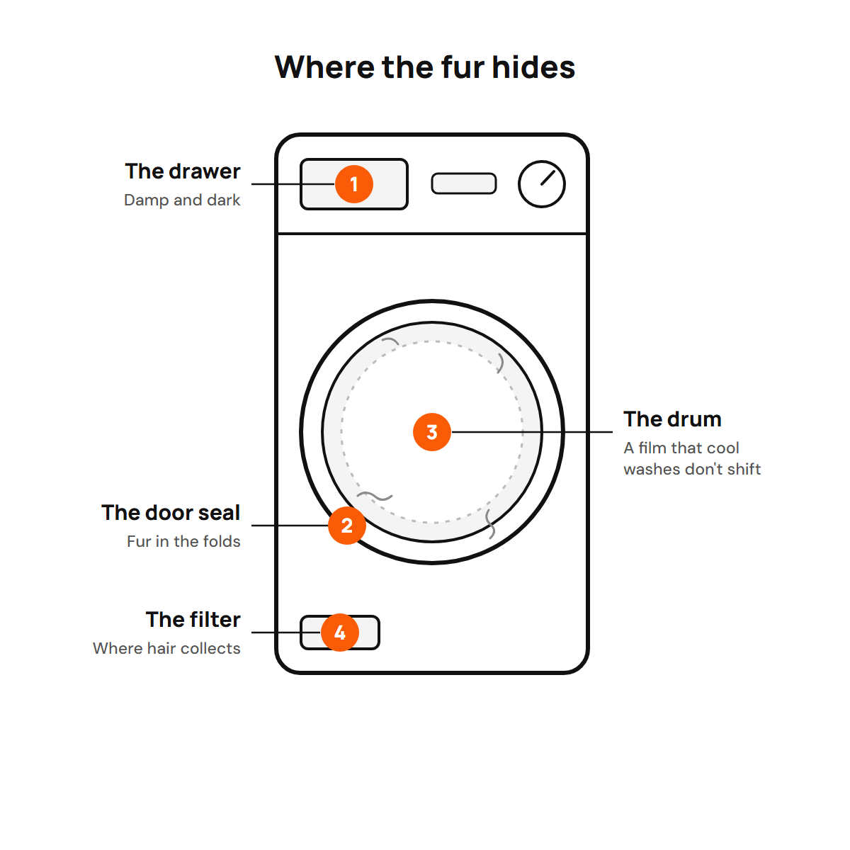 Where fur builds up in a washing machine: the drawer, the door seal, the drum and the filter