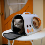 Cat Grooming Carrier Bag – Secure & Comfortable Bath Solution
