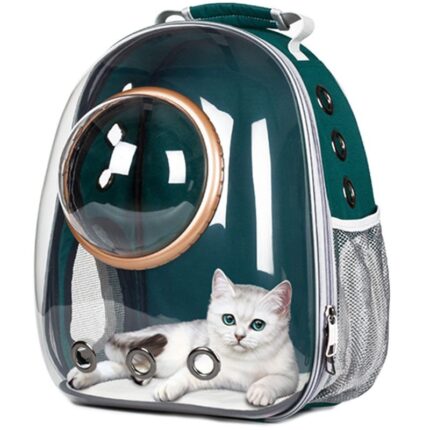 Fully Transparent Cat Backpack for Comfortable Travel