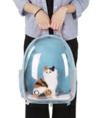 Fully Transparent Cat Backpack for Comfortable Travel - Image 3