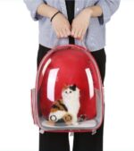Fully Transparent Cat Backpack for Comfortable Travel - Image 4