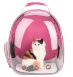 Fully Transparent Cat Backpack for Comfortable Travel - Image 6