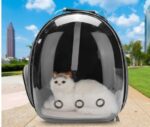 Fully Transparent Cat Backpack for Comfortable Travel - Image 7
