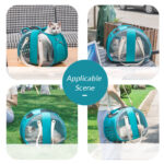 Transparent Cat Carrier Backpack – Side Access Window - Image 2