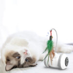 Interactive Cat Toy With Interchangeable Heads  Pet Feather Toys - Image 4