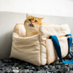 Warm soft cat carrier bag for cats up to 12 kg