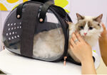Transparent Cat Carrier Backpack – Side Access Window - Image 6