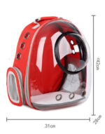 Fully Transparent Cat Backpack for Comfortable Travel - Image 2