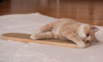 Sisal Hemp Mat Cat Scratch Board Hanging On Wall - Image 3