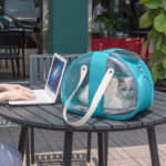 Transparent Cat Carrier Backpack – Side Access Window - Image 3