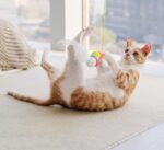 Cat Toys Simulated Caterpillar Cute Toys Funny Self-hey Interactive Toy Rope Grabbing Mouse Telescopic Hanging Cat Pet Supplies - Image 3