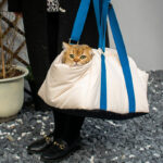 Warm Cat Carrier Bag for Travel and Everyday Use - Image 8