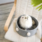 Four seasons universal cat bed cat house - Image 2
