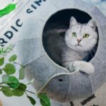 Cat Tunnel Toy Foldable Cat Tube Indoor Cat Cave Bed Multi-Function Pet Toy For Puppy Dogs Cats Interactive Ball Toy - Image 2