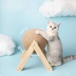 Cat Climbing Frame Durable Cat Scratching Post Pet Products - Image 2