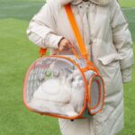 Cat Carrier Bag l Transparent Full View Carrier - Image 3