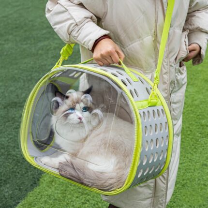 Cat Carrier Bag l Transparent Full View Carrier
