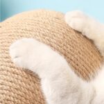 Cat Climbing Frame Durable Cat Scratching Post Pet Products - Image 4