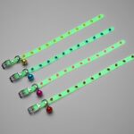 Luminous Cat Collar Products At Night - Image 7