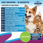 Cat And Dog Multivitamin Liquid With Glucosamine & Cranberry 15 In 1 Health Supplements For Urinary Tract Kidney Bladder Hip And Joint Skin And Coat 60 Ml - Image 6