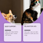 Kriath Pet Cat And Dog Care Drops Gentle, Nourishing, And Soothing Drops For Cats And Dogs, Ideal For Daily Sleep And General Care - Image 4