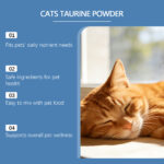 Cat Taurine Powder - Image 4