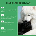 Cat And Dog Hemp Seed Oil Vitality Drops - Image 6