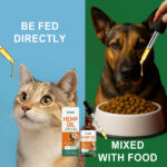 Cat And Dog Hemp Seed Oil Vitality Drops - Image 4