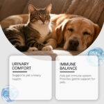 Cat And Dog Urinary Care Soothing Drops - Image 4